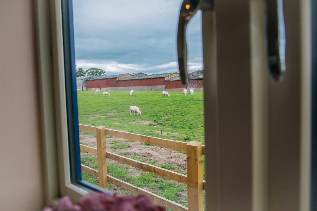Fieldsview Villa Wrexham Esterno foto